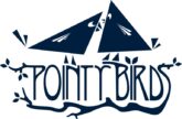Pointy Birds